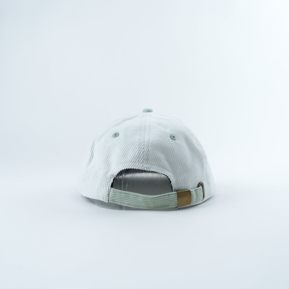Cash Frog - 6 Panel Hat