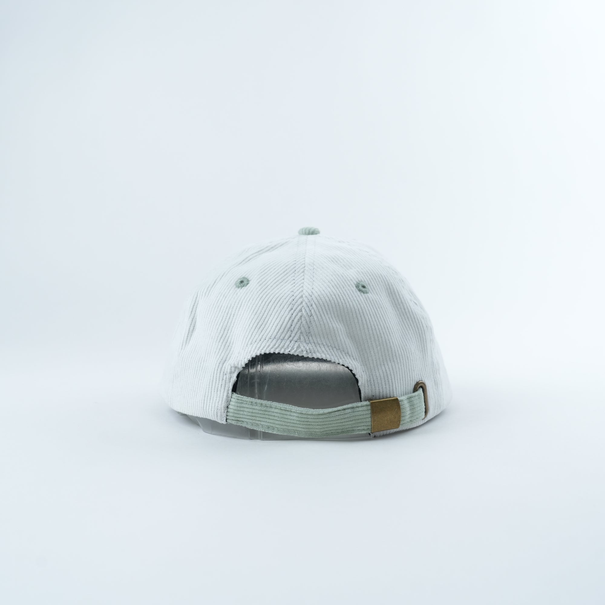 Cash Frog - 6 Panel Hat
